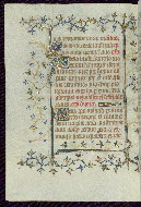 W.96, fol. 301v