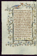 W.96, fol. 304v