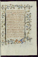 W.96, fol. 309r