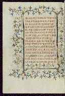 W.96, fol. 310v