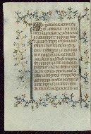 W.96, fol. 313v
