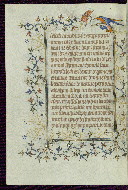 W.96, fol. 318v