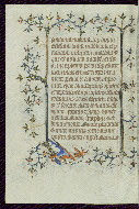 W.96, fol. 319v