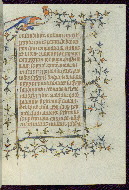 W.96, fol. 338r