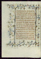W.96, fol. 338v