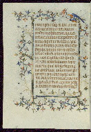 W.96, fol. 339v
